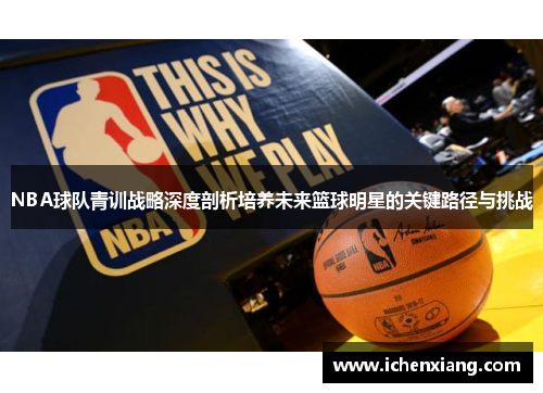 NBA球队青训战略深度剖析培养未来篮球明星的关键路径与挑战